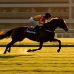 長年の経験が語る！イクイノックスの底力を見抜け